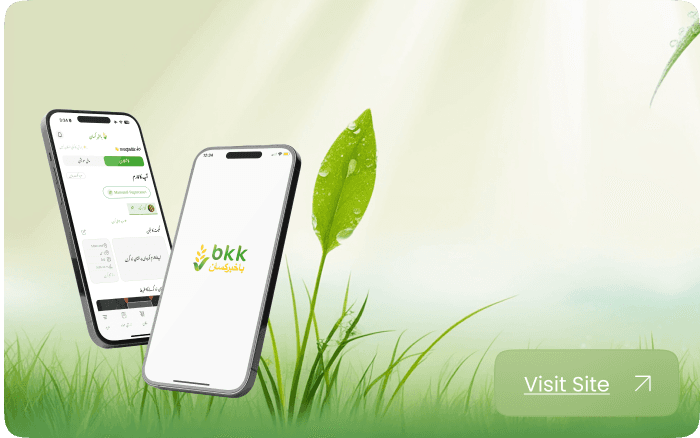 From BeKhabar to BaKhabar