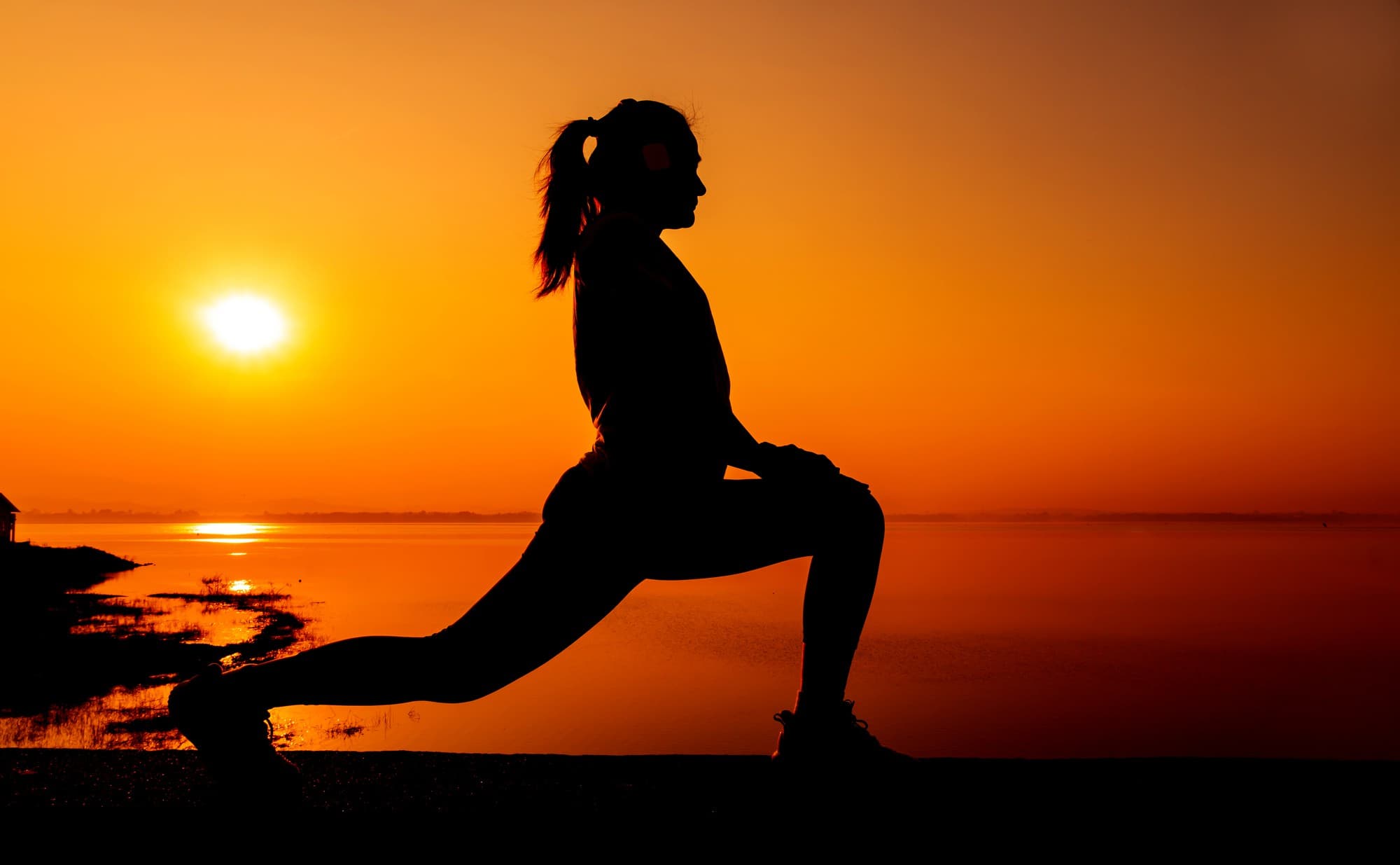 A premier fitness solution